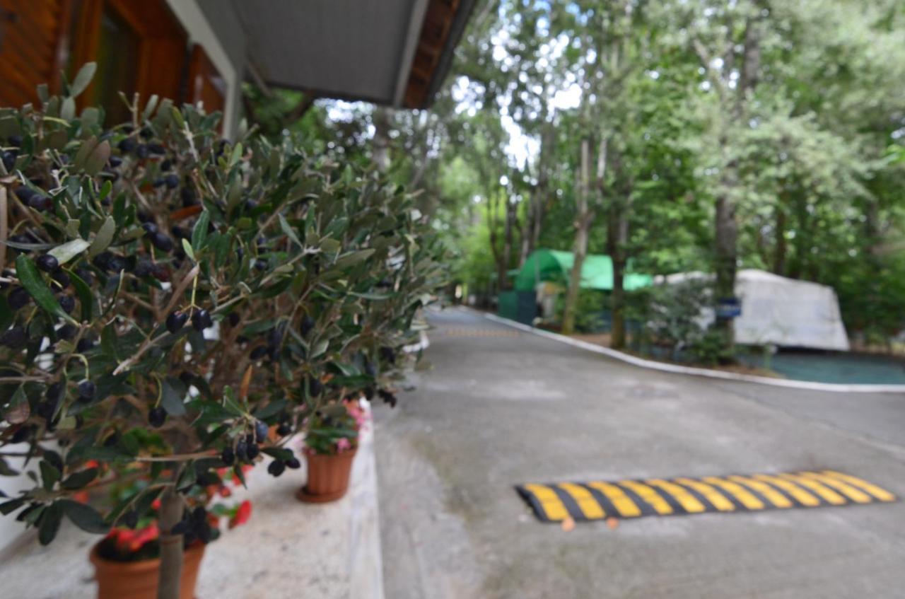 Camping Orpheus Apartments Νέος Παντελεήμονας Εξωτερικό φωτογραφία