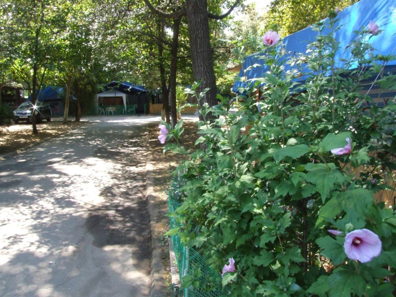 Camping Orpheus Apartments Νέος Παντελεήμονας Εξωτερικό φωτογραφία